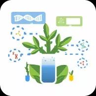 Химический диктант