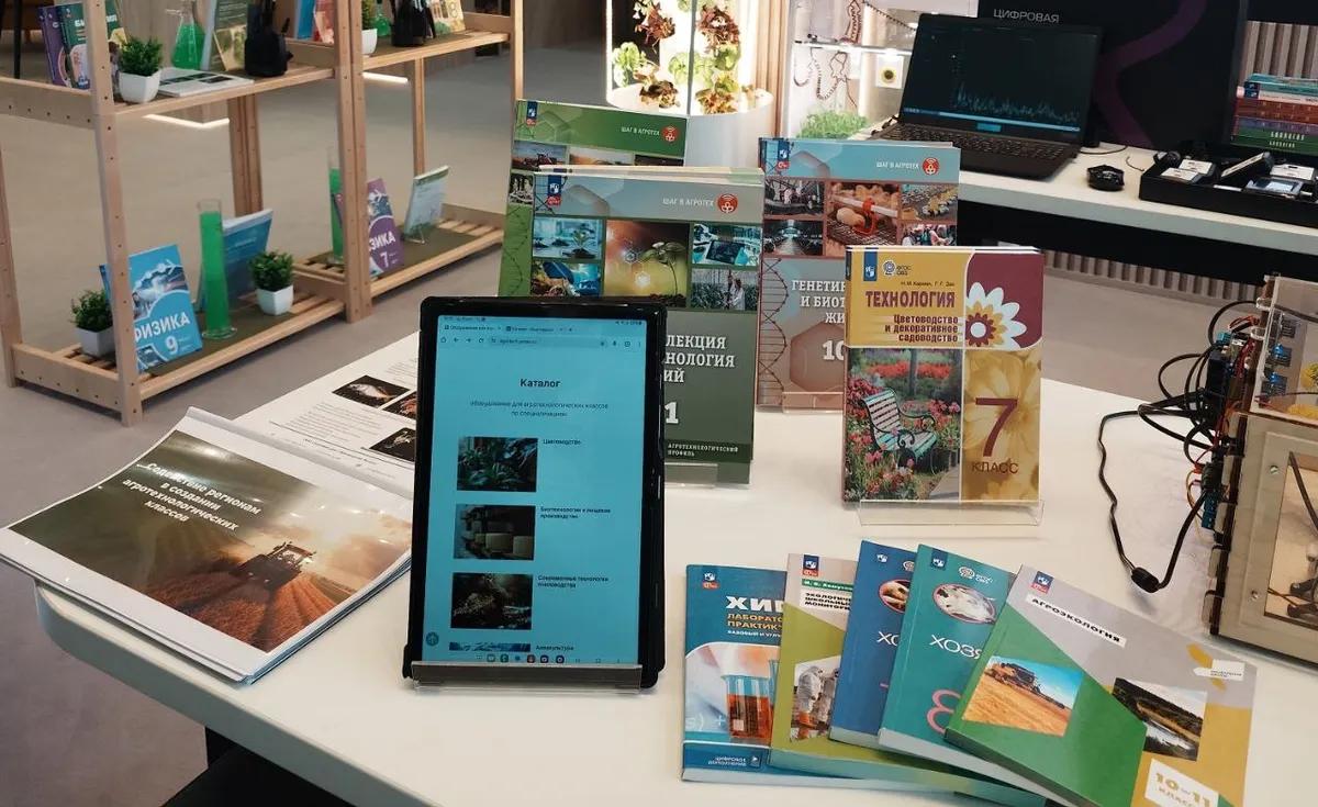 Золотая осень - 2025